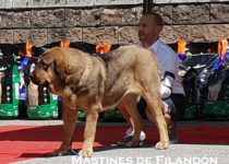 20190804_brania4