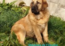 20200330_cava1 20200330_cava1