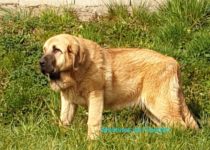 20200330_cava3 20200330_cava3