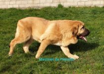 20200330_cava4 20200330_cava4