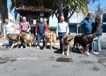 2025-Brasera de Filandon (12)