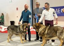 2025-Brasera de Filandon (14)