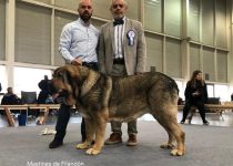2025-Brasera de Filandon (15)