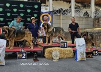 2025-Brasera de Filandon (16)