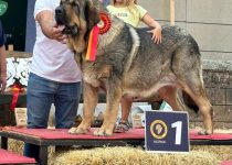 2025-Brasera de Filandon (18)