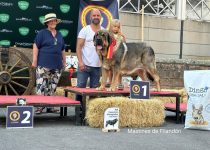 2025-Brasera de Filandon (19)