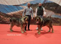 2025-Brasera de Filandon (2)