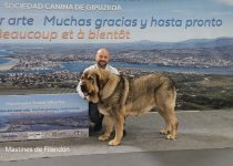 2025-Brasera de Filandon (4)