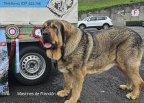 2025-Brasera de Filandon (5)