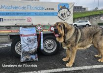 2025-Brasera de Filandon (6)