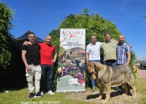 2025-Brasera de Filandon (7)