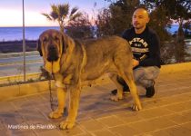 2025-Brasera de Filandon (9)