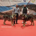 111 Exposición Nacional Lugo & 50 Exposición Internacional Lugo