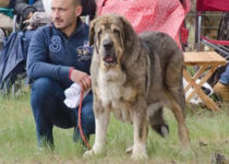 bruma (10) bruma (10)