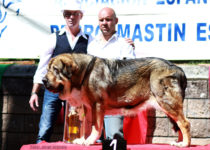 bruma (21) bruma (21)