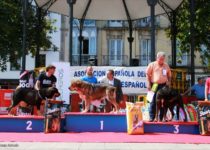 bruma (26) bruma (26)