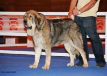 bruma (30) bruma (30)