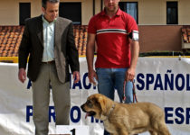 bruma (43) bruma (43)