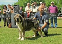 bruma (44) bruma (44)