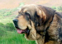 zanco_02 zanco_02
