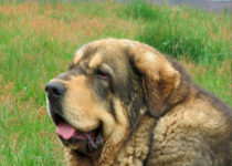 zanco_05 zanco_05
