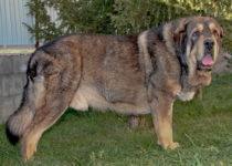 zanco_09 zanco_09